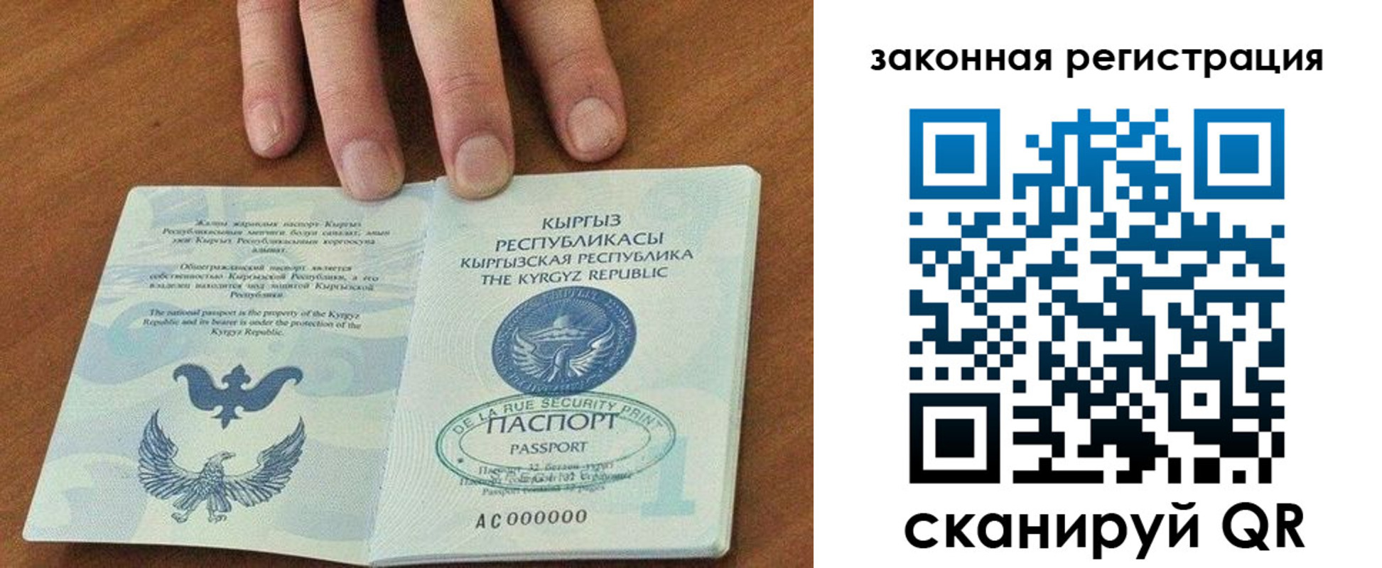 прописка гарантия в Амурской области